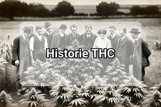 Historie THC