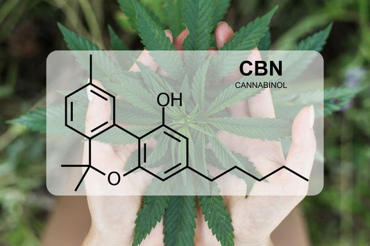 Co je CBN (kanabinol)?