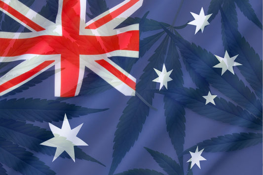 Australská vlajka a listy konopí