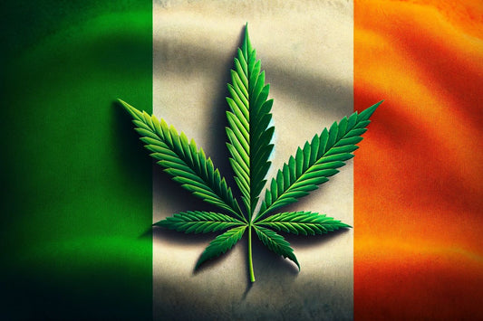 Irská vlajka a list konopí