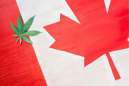 Konopný list na kanadské vlajce