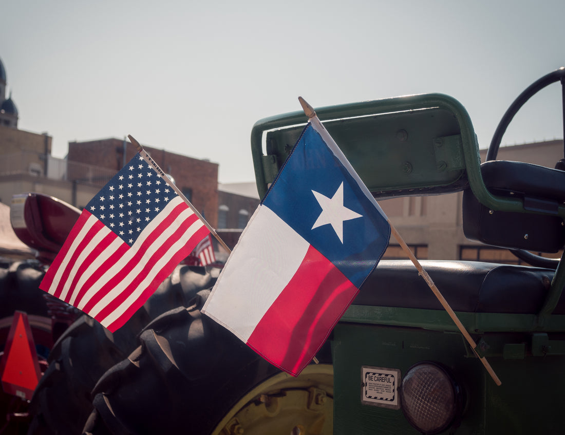 Americká a texaská vlajka