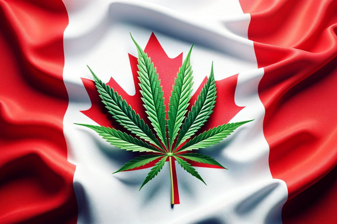 Konopný list před kanadskou vlajkou