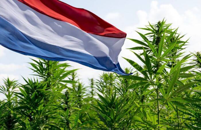 Nizozemská vlajka na konopném poli