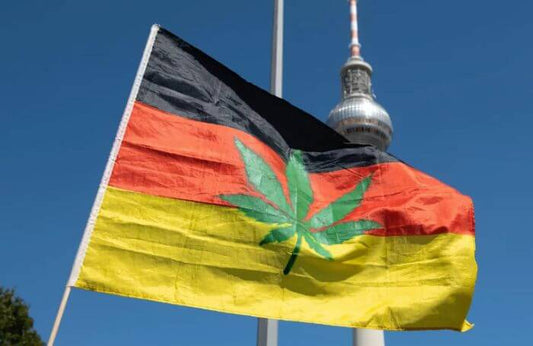 Německý plán legalizace konopí