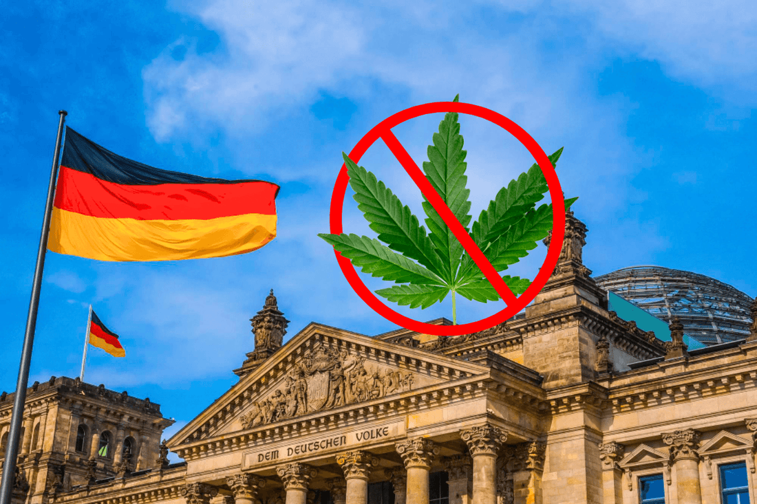 Prezident Spolkové lékařské komory proti legalizaci konopí
