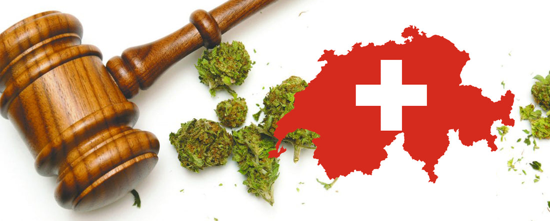 Švýcarsko pracuje na legalizaci lékaøské marihuany