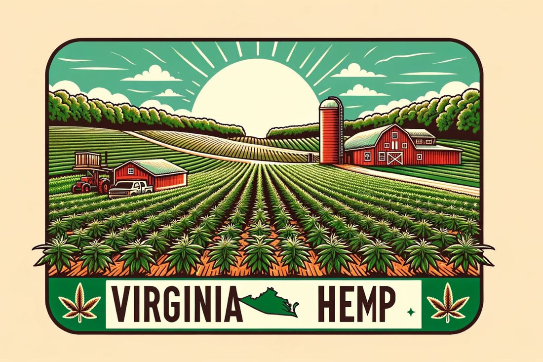 Kresba konopné farmy ve Virginii