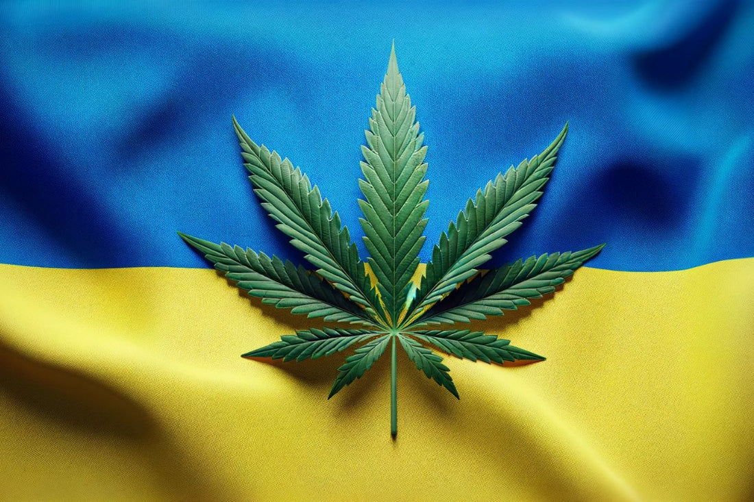 Ukrajinská vlajka a list konopí