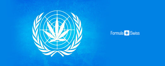 Panel Spojených Národů zveřejnil první posudek marihuany