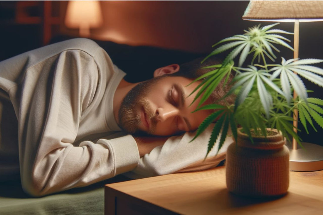 Spící muž a vedle něj rostlina konopí
