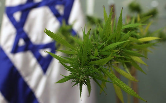 Nové předpisy o léčebném konopí v Izraeli